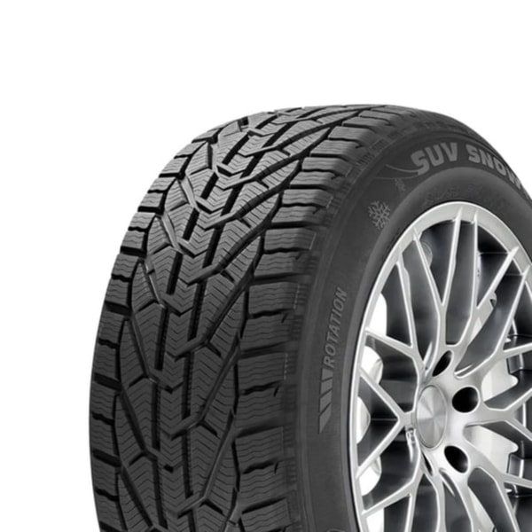 195/65 R15 91H Snow Riken